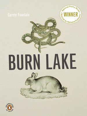 cover image of Burn Lake